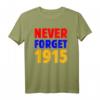 Armenien Pride 1915 Grafik T-Shirt - Flagge Armeniens, Kulturelle Nationalstolz Kleidung
