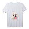 Damen Bichon Malteser Shirt Hund Mama Papa Welpe - Süßes Bichon Frisé T-Shirt für Weihnachten, Hundeliebhaber & Bichon Fans
