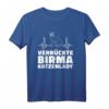 Katzenlady Hauskatze Haustier T-Shirt – Perfektes Geschenk für Katzenliebhaber & Katzenmamas