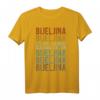 Bijeljina City Bosnien und Herzegowina Retro Vintage T-Shirt - Klassisch geschnitten, doppelt genähter Saum