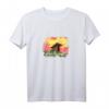 Irland Wahrzeichen Dolmen Sonnenuntergang T-Shirt – Keltisches Design für Irland-Fans, Archäologie & Reisesouvenirs