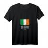 Damen T-Shirt mit irischer Flagge und Kilkenny Stadtmotiv - Irland Souvenir mit V-Ausschnitt für Touristen & Irlandfans