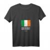Damen T-Shirt mit irischer Flagge und Kilkenny Stadtmotiv - Irland Souvenir mit V-Ausschnitt für Touristen & Irlandfans