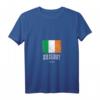 Damen T-Shirt mit irischer Flagge und Kilkenny Stadtmotiv - Irland Souvenir mit V-Ausschnitt für Touristen & Irlandfans