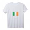 Damen T-Shirt mit irischer Flagge und Kilkenny Stadtmotiv - Irland Souvenir mit V-Ausschnitt für Touristen & Irlandfans
