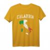Italienische Flagge von Kalabrien, Vintage-Design, Used-Look T-Shirt – Klassischer Look für Italien-Liebhaber