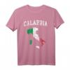 Italienische Flagge von Kalabrien, Vintage-Design, Used-Look T-Shirt – Klassischer Look für Italien-Liebhaber