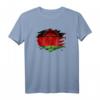 Malawi Flagge und Löwe T-Shirt - Patriotisches Geschenk für Malawi-Liebhaber, Tierfreund und Reisesouvenir