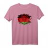 Malawi Flagge und Löwe T-Shirt - Patriotisches Geschenk für Malawi-Liebhaber, Tierfreund und Reisesouvenir