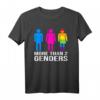 LGBTQ+ Flag T-Shirt – There Are More Than 2 Genders, Zeige deine Vielfalt und unterstütze Gleichberechtigung