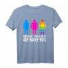 LGBTQ+ Flag T-Shirt – There Are More Than 2 Genders, Zeige deine Vielfalt und unterstütze Gleichberechtigung