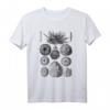 Seeigel, Muscheln & Meeresdeko T-Shirt - Vintage Ocean Life Illustration, Stranddekoration & Marine Biologie Motiv