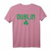 Dublin Whiskey Irish Kobold Kleeblatt Irland T-Shirt – Perfektes Souvenir für Dublin-Reisen & Irland-Urlauber