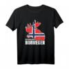 Ich muss nach Norwegen - Flagge & Fjorde T-Shirt für Norwegen Fans & Urlauber