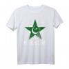 Pakistan Unabhängigkeitstag 14. August T-Shirt mit Flagge & Feuerwerk - Perfekt für Familie, Freunde & Feierlichkeiten