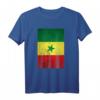 Retro Senegal Flag T-Shirt - Vintage Grunge Design, das perfekte Geschenk für Freunde und Familie zu Anlässen wie Geburtstag, Weihnachten & mehr