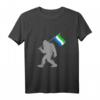 Sierra Leonesische Fahne auf Sierra Leone Flagge Tank Top – Lustiges patriotisches Design für Sierra Leone Fans, Urlaub & Nationalstolz