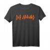 40Geburtstag - Klassisches Logo T-Shirt | Offizielles HapKoala Geschenk & Feieroutfit