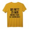 Herren Sei Nett Zu Mir - Werdender Vater Schwangerschaft T-Shirt für den Humorvollen Papa