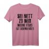 Herren Sei Nett Zu Mir - Werdender Vater Schwangerschaft T-Shirt für den Humorvollen Papa